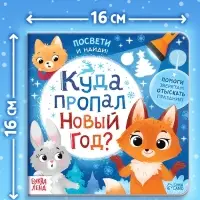 Книга с фонариком &laquo;Куда пропал Новый год?&raquo;, 24 стр.