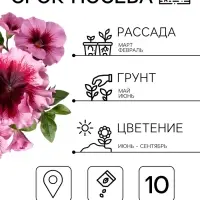 Семена цветов Петуния превосходнейшая &laquo;Розовая&raquo; 10 шт.