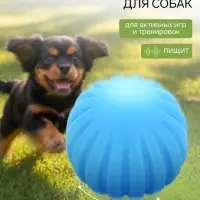 Игрушка для собак с пищалкой &laquo;Мячик&raquo;, 5.5 см, голубая