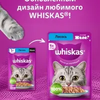 Влажный корм Whiskas для кошек, с лососем, желе 75 г