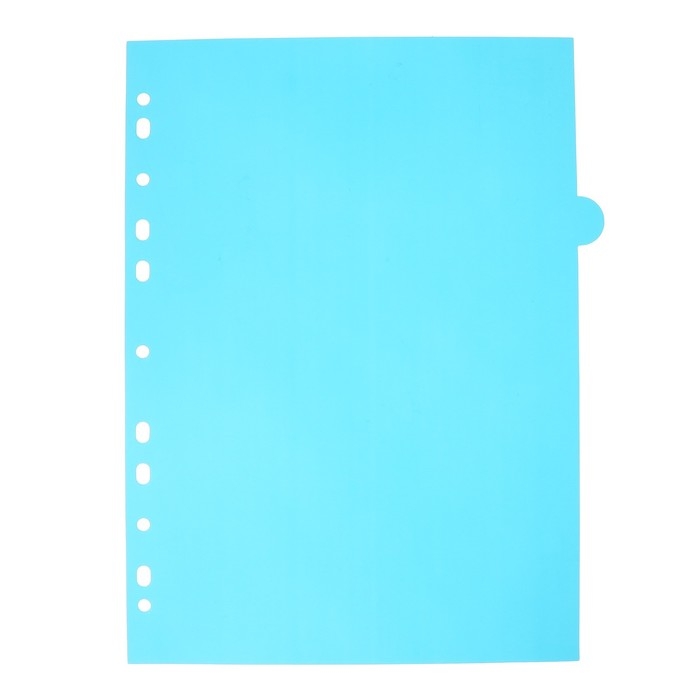 Разделитель листов A4 (245 x 305 мм), цветовой, 12 листов, Разделитель листов A4 (245 x 305 мм), цветовой, 12 листов, "deVENTE. Pastel", полипропилен 140 мкм, индивидуальная упаковка