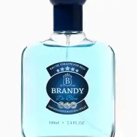 Туалетная вода мужская Brandy De Bleu, 100 мл