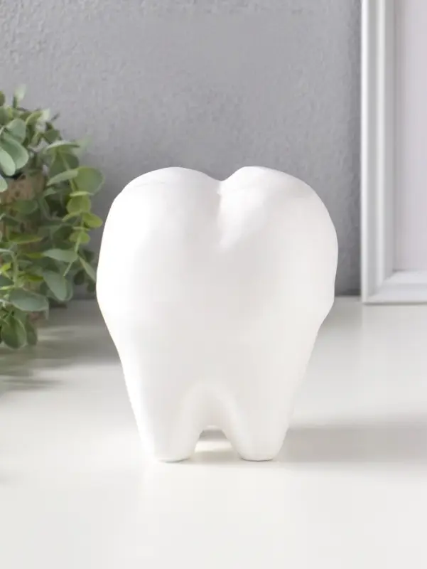 Копилка для денег &laquo;Зуб&raquo;, гипс, белый, 13&times;14&times;19 см