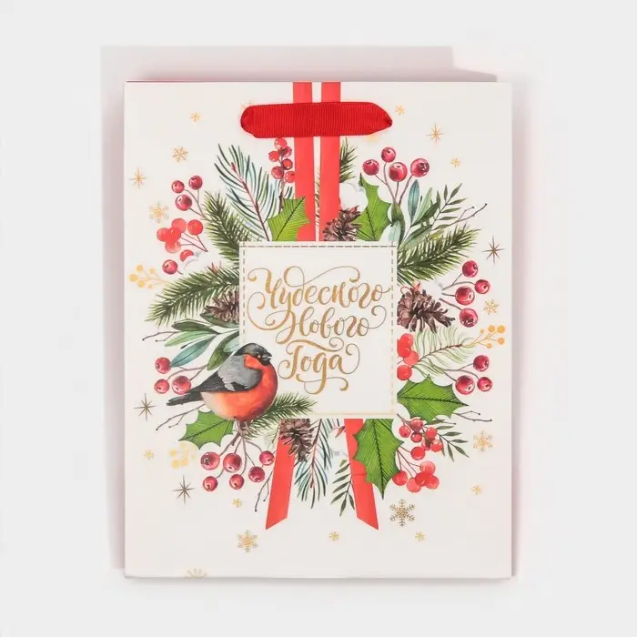 Пакет подарочный новогодний ламинированный «Чудесного Нового Года», MS 18 х 23 х 10 см