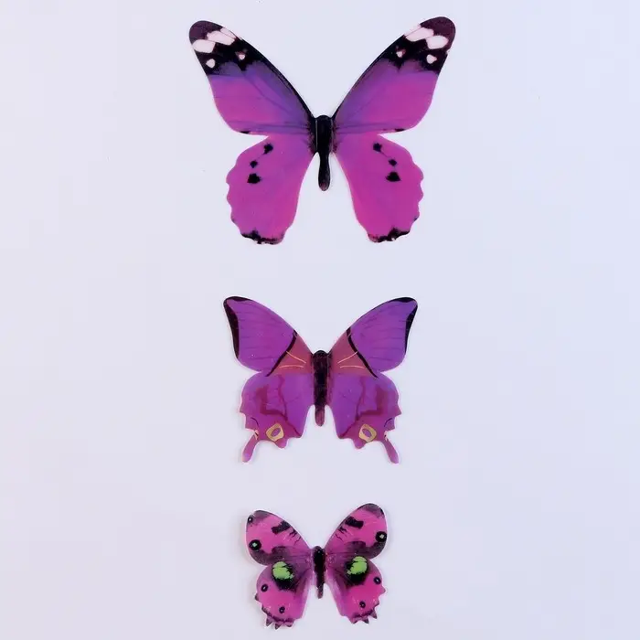 Набор для украшения «Бабочки», 12 шт, цвет фиолетовый