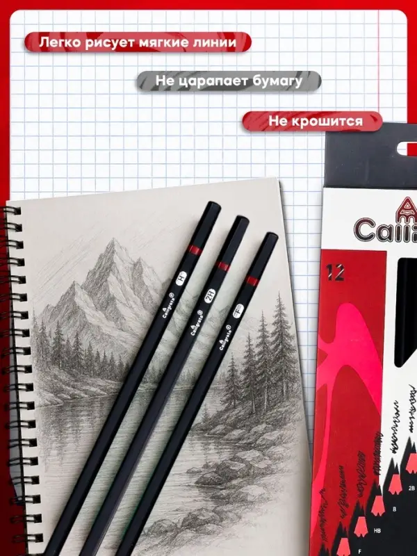 Карандаши чернографитные Calligrata, 12 штук, разная твёрдость, шестигранные, деревянные Карандаши чернографитные Calligrata, 12 штук, разная твёрдость, шестигранные, деревянные