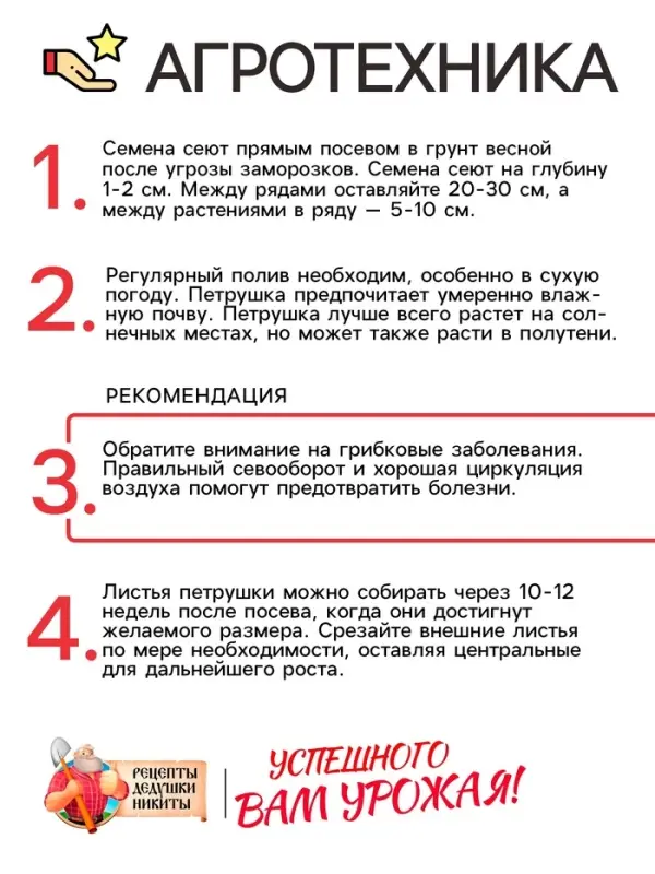 Семена петрушка листовая «Богатырь», 2 г