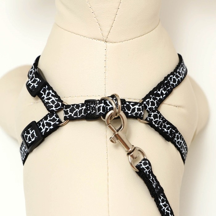 Комплект прошитый Комплект прошитый "Жираф", ширина 1 см, поводок 120 см, шлейка 23-35 см, чёрно-белый