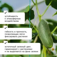 Проволока подвязочная, 50 м, толщина 2 мм, зелёная, Greengo