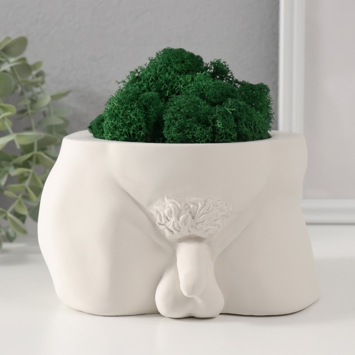 Кашпо бетонное Кашпо бетонное "Достоинство" со мхом высота 10 см,ширина 17 см белый (мох зеленый стабилиз)