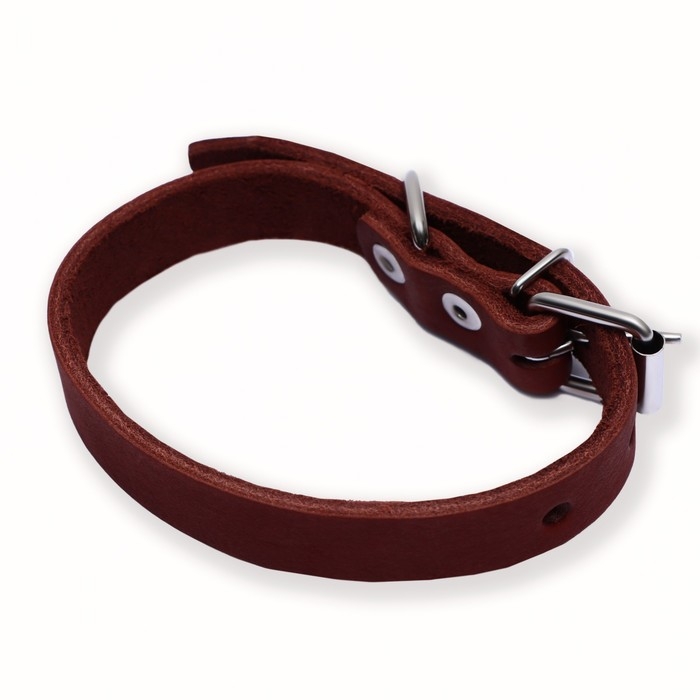 Ошейник кожаный однослойный, 45 х 2 см, ОШ 25-35 см, коричневый Ошейник кожаный однослойный, 45 х 2 см, ОШ 25-35 см, коричневый