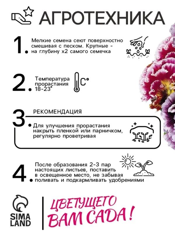 Семена цветов Виола Виттрока &laquo;Махровое кружево&raquo;, триколор, F1, 4 шт., двулетник, &laquo;Гавриш&raquo;