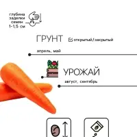Семена на ленте Морковь &laquo;Королева осени&raquo;, 8 м, &laquo;Росток-гель&raquo;