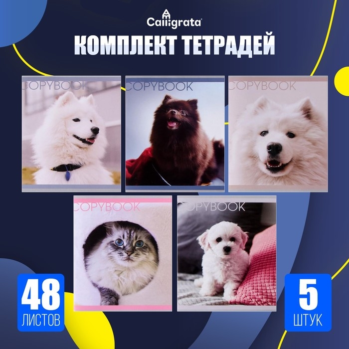 Комплект тетрадей из 5 штук, 48 листов в клетку Calligrata  Комплект тетрадей из 5 штук, 48 листов в клетку Calligrata "Любимые питомцы", обложка мелованная бумага, блок №2, белизна 75% (серые листы)