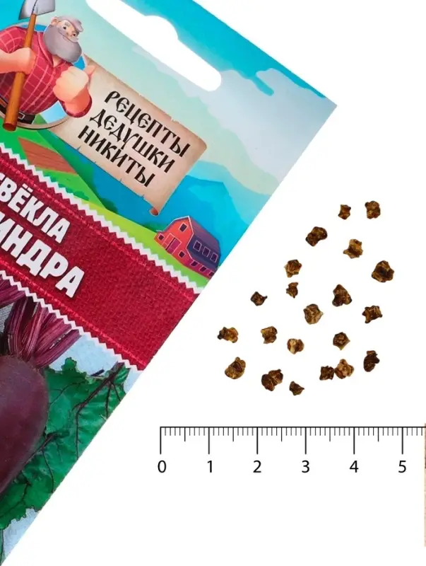 Семена Свёкла  Семена Свёкла "Цилиндра", 2 г