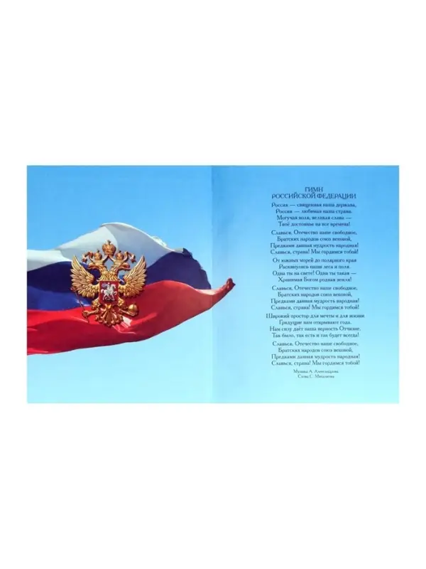 Дневник школьный для 1-11 классов, &laquo;Футбол. Эмблема&raquo;, твёрдая обложка 7БЦ, глянцевая ламинация, 40 листов