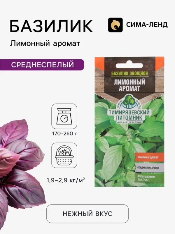 Семена Базилик &laquo;Лимонный&raquo;, 0.3 г, среднеспелый, &laquo;Тимирязевский питомник&raquo;