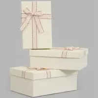 Набор подарочных коробок 3 в 1, прямоугольные 23&times;16&times;9.5 21&times;14&times;8.0 19&times;12&times;6.5 см