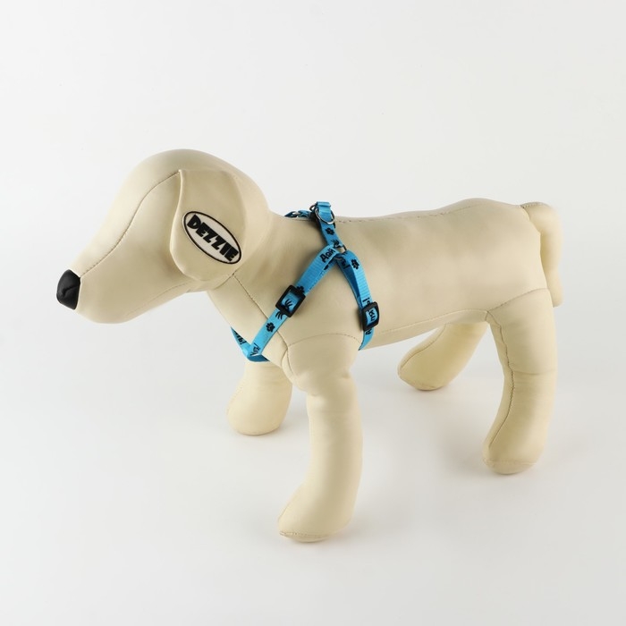 Комплект «Дай пять», шлейка 26-39 см, поводок 120х1 см Комплект «Дай пять», шлейка 26-39 см, поводок 120х1 см