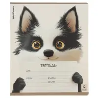 Тетрадь 12 листов в линейку ErichKrause Note Friends, МИКС