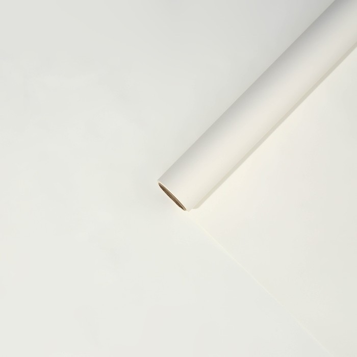 Плёнка для цветов упаковочная матовая «Белая», 0.5 x 8 м, 55мкм Плёнка для цветов упаковочная матовая «Белая», 0.5 x 8 м, 55мкм