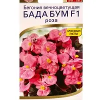 Семена цветов Бегония Бада бум F1 роза (драже в пробирке) Спецсерия Syngenta, Ц/П,5 шт. Семена цветов Бегония Бада бум F1 роза (драже в пробирке) Спецсерия Syngenta, Ц/П,5 шт.