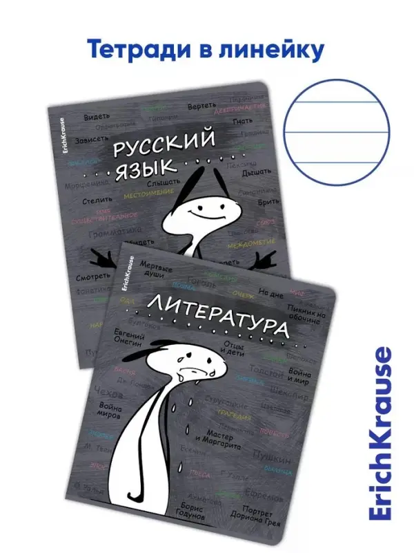Набор предметных тетрадей ErichKrause &laquo;Чубрик&raquo;, 12 предметов, 48 листов, со справочным материалом, пластиковая обложка