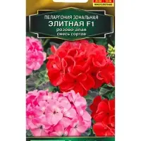 Семена цветов Пеларгония Элитная F1 розово-алая, смесь сортов Мн Золотая серия, Ц/П,5 шт. Семена цветов Пеларгония Элитная F1 розово-алая, смесь сортов Мн Золотая серия, Ц/П,5 шт.