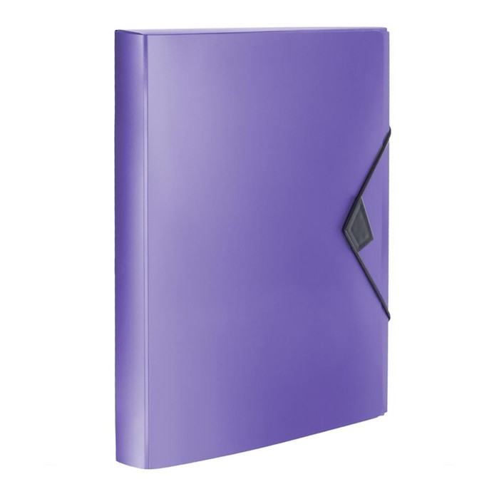 Папка на резинке А4, 800 мкм, Calligrata TOP  Папка на резинке А4, 800 мкм, Calligrata TOP "Mistral", корешок 40 мм, до 300 листов, сиреневый металлик