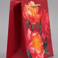 Пакет подарочный ламинированный &laquo;Яркий акцент&raquo;, 11.5&times;14.5&times;6.5 см