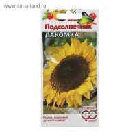 Семена Подсолнечник «Лакомка», цветной пакет, 10 г Семена Подсолнечник «Лакомка», цветной пакет, 10 г