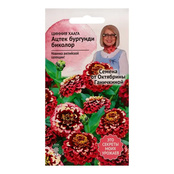 Семена цветов Цинния  Семена цветов Цинния "Хаага Ацтек Бургунди биколор", 10 шт