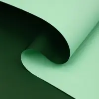 Плёнка для цветов двухцветная, таёжный лес - светло зелёный, 50 см &times; 10 м &plusmn;5%