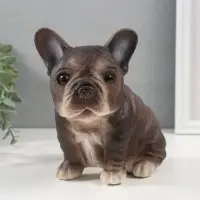 Копилка для денег &laquo;Щенок Французского бульдога&raquo;, гипс, 16.5&times;11.5&times;18 см