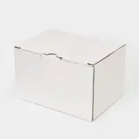 Чайник заварочный Magistro &laquo;Бланш&raquo;, 600 мл, фарфор, белый