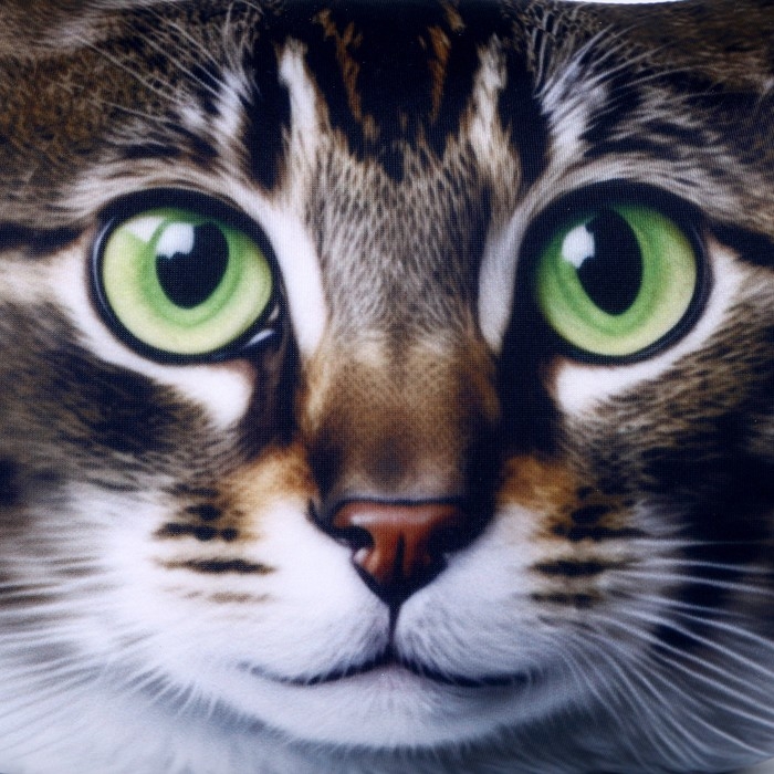 Антистресс-подушка, кошка «Дуся»