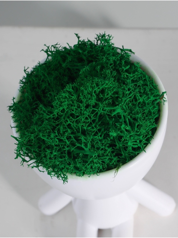 Кашпо пластиковое "Мистер Грин йог" 10,5*7,5*7,3 см белый