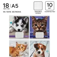 Тетрадь 18 листов в клетку &laquo;Домашние животные&raquo;, 10 штук, офсет + обложки 5 штук в подарок