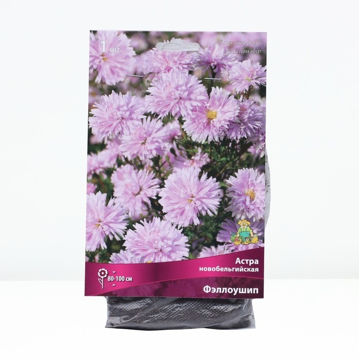 Астра новобельгийская «Фэллоушип»,корневище в торфогрунте, р-р I, 1 шт. Астра новобельгийская «Фэллоушип»,корневище в торфогрунте, р-р I, 1 шт.