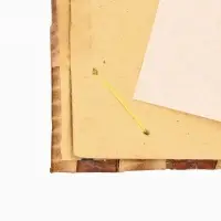 Фотоальбом "Экзотическая рыбка" 10 листов, 19х19х2 см