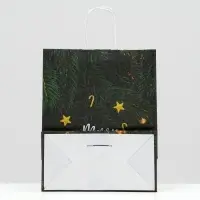 Пакет новогодний подарочный крафт «Снегопад», 22×12×27 см