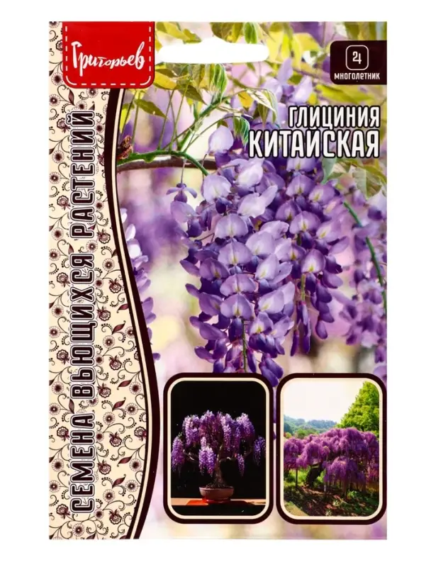 Семена цветов Глициния Китайская 3шт.  12.29 г.