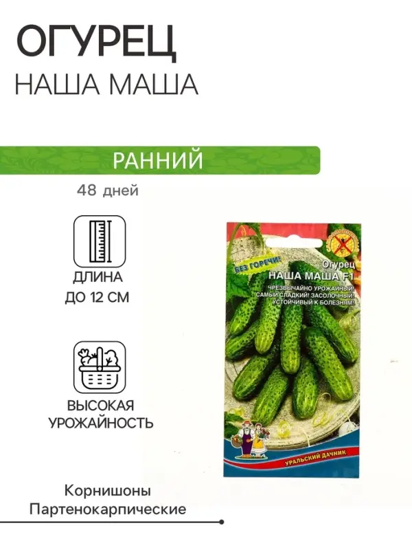 Семена Огурец Семена Огурец "Наша Маша" F1 раннеспелый, партенокарпический, 10 шт