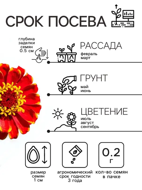 Семена цветов Цинния  Семена цветов Цинния "Сомбреро", 0,2 г