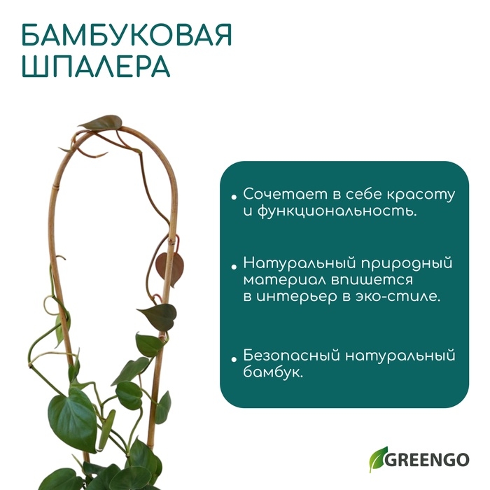 Дуга для подвязки растений, h=60 см, бамбук, Greengo Дуга для подвязки растений, h=60 см, бамбук, Greengo