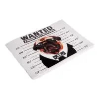 Альбом для рисования Calligrata А4, 40 листов, на скрепке, обложка из мелованного картона, МИКС