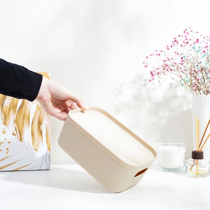 Короб для хранения с крышкой «Инфинити», 20×14×8 см, 1,7 л, цвет латте Короб для хранения с крышкой «Инфинити», 20×14×8 см, 1,7 л, цвет латте