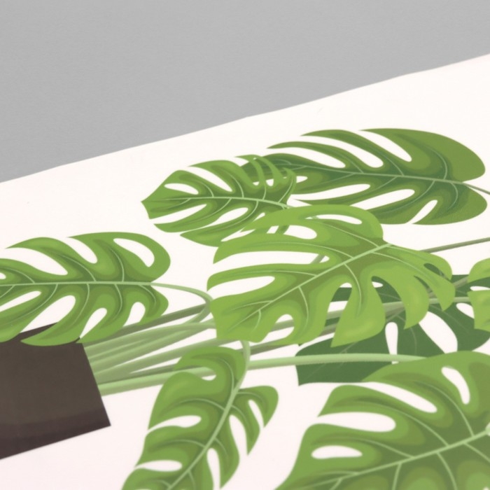 Наклейка пластик интерьерная цветная Наклейка пластик интерьерная цветная "Домашние цветы" 40х60 см