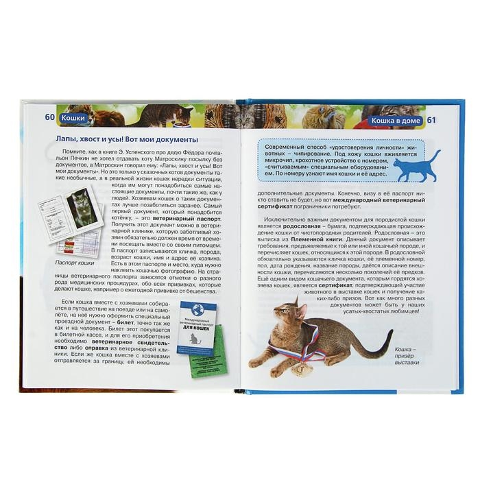 Детская энциклопедия «Кошки» Детская энциклопедия «Кошки»