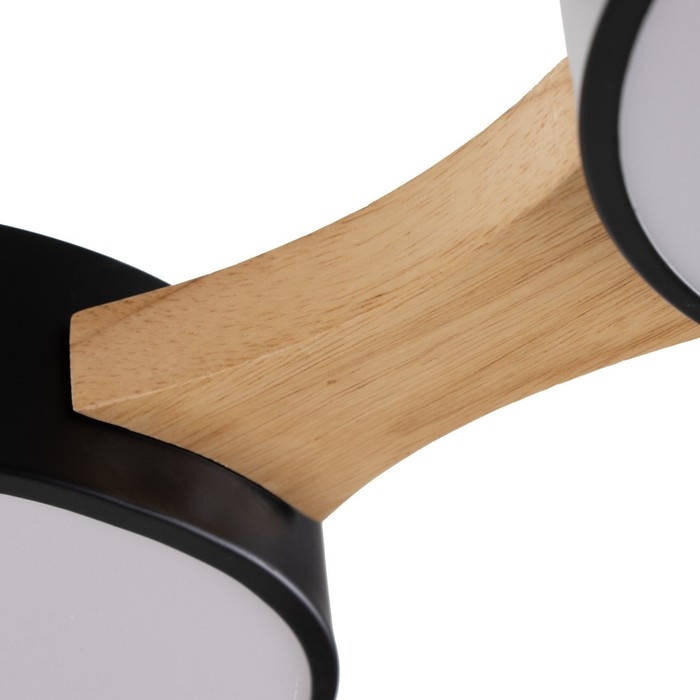 Люстра "Пиатти" 4LED 96Вт 3000-6000К черный 65х48х5 см BayerLux